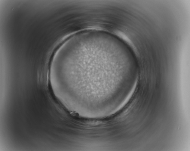 X0000088151323200706111436