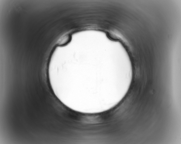 X0000088151325200706111436