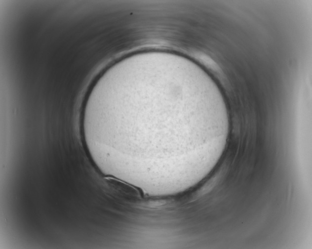 X0000088151326200706111436