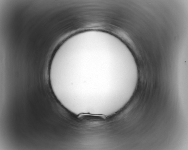 X0000088151328200706111436