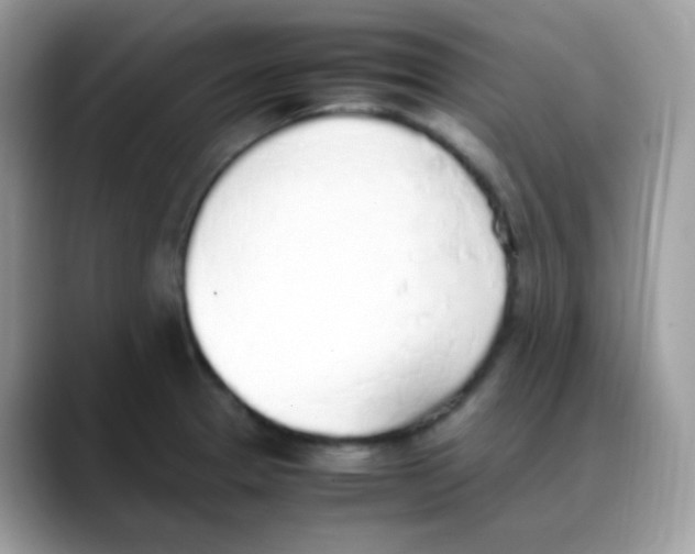 X0000088151329200706111436