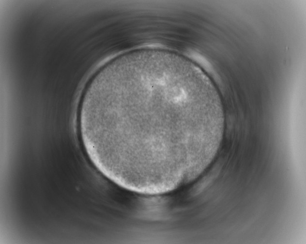 X0000088151331200706111436