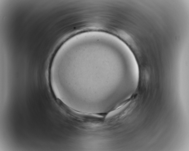 X0000088151334200706111436