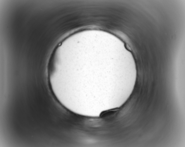 X0000088151335200706111436