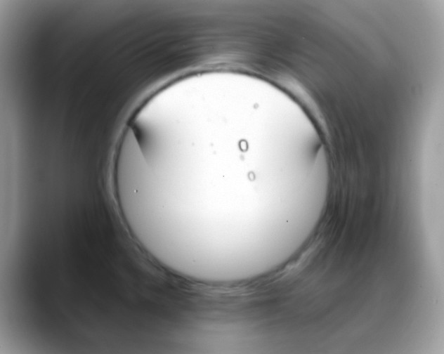 X0000088151336200706111436