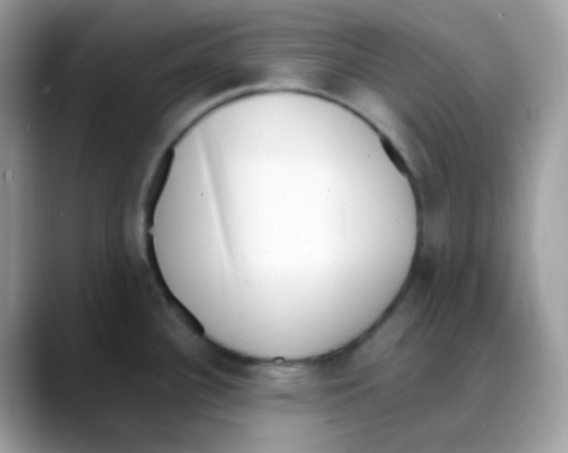 X0000088151340200706111436