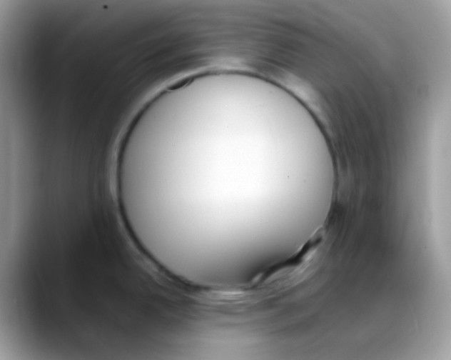 X0000088151342200706111436