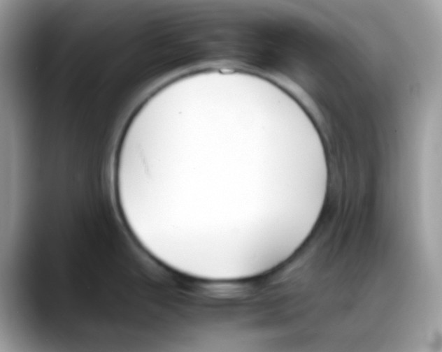 X0000088151343200706111436