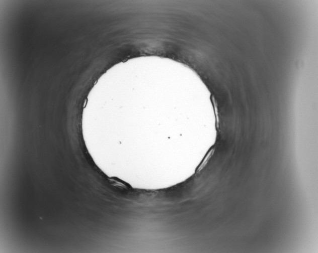 X0000088151345200706111436