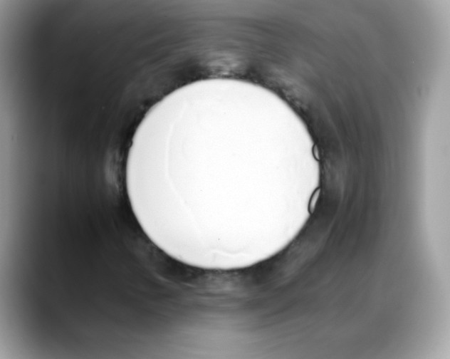 X0000088151346200706111436