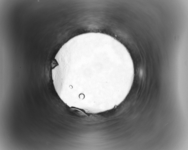 X0000088151348200706111436