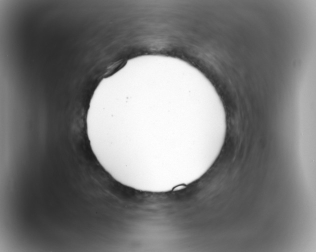 X0000088151349200706111436