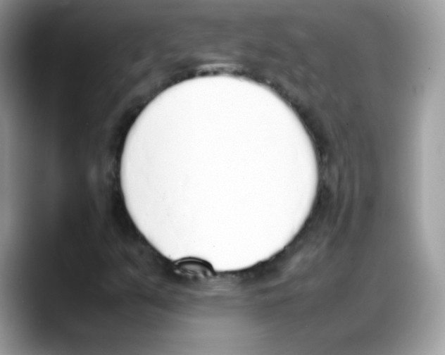 X0000088151351200706111436