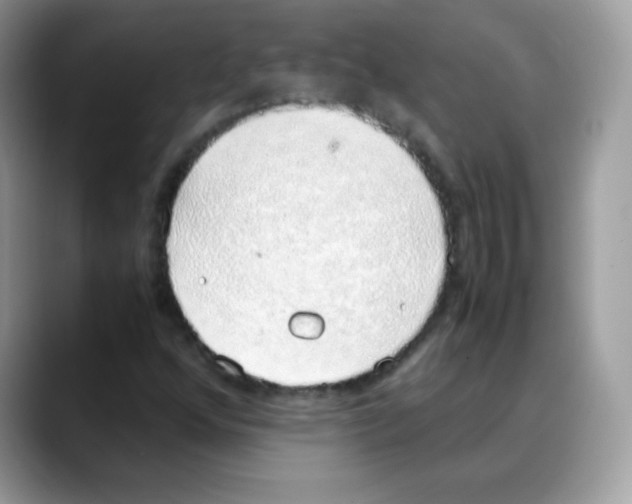 X0000088151352200706111436