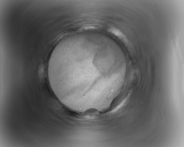 X0000088151353200706111436