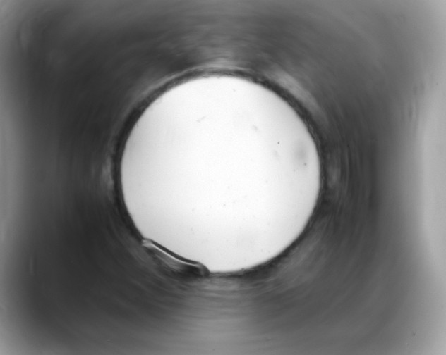 X0000088151356200706111436