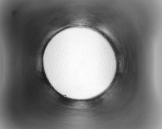 X0000088151358200706111436