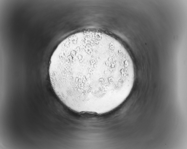 X0000088151359200706111436