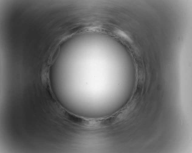 X0000088151361200706111436