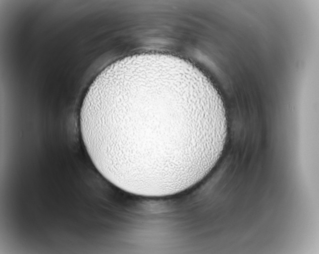 X0000088151362200706111436