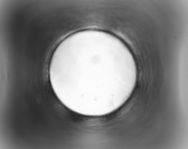 X0000088151367200706111436