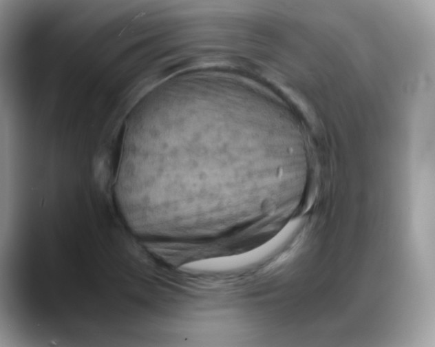 X0000088151369200706111436