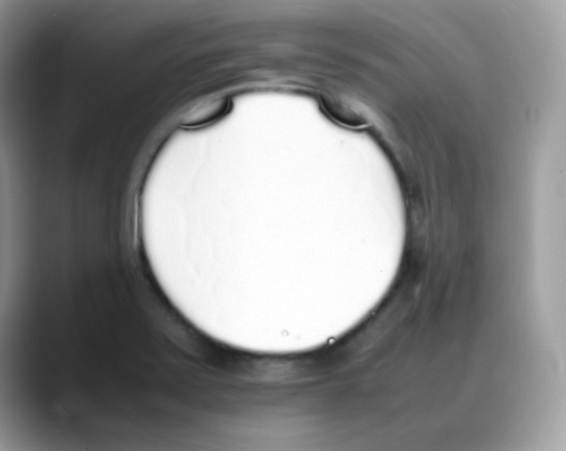 X0000088151371200706111436