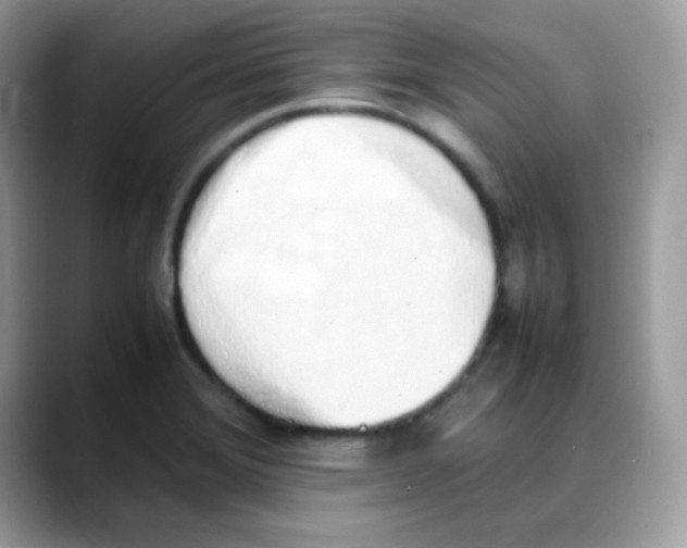 X0000088151372200706111436