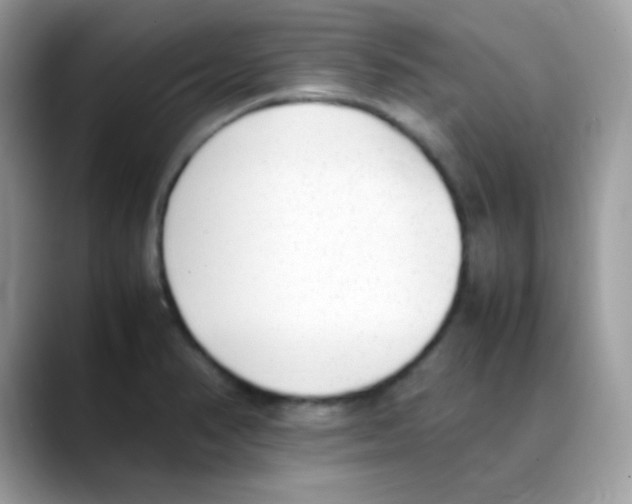 X0000088151374200706111436