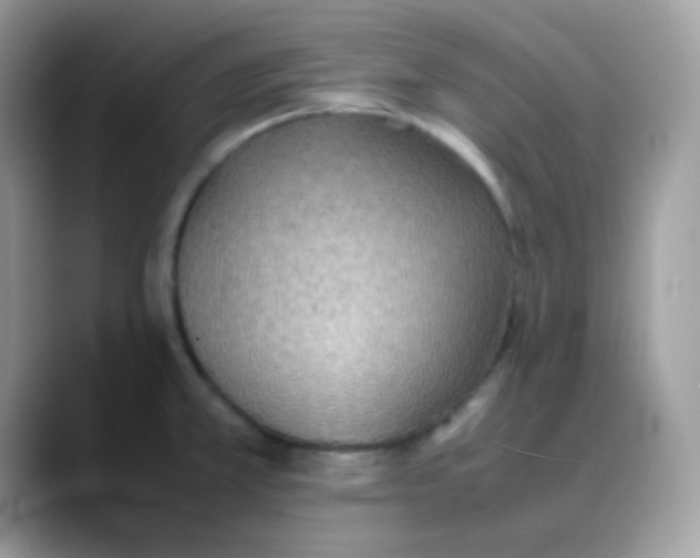 X0000088151381200706111435