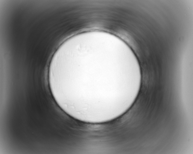 X0000088151382200706111435