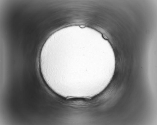 X0000088151383200706111435