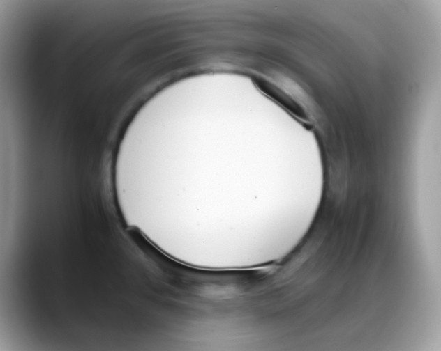 X0000088151384200706111435