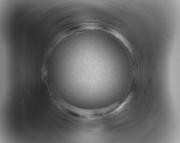 X0000088151385200706111435