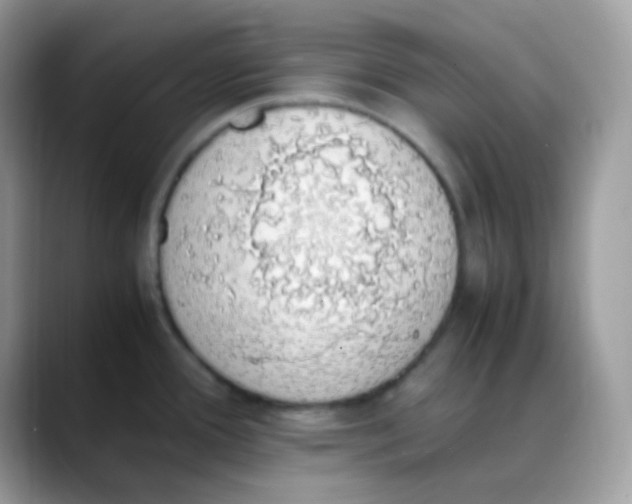 X0000088151388200706111435