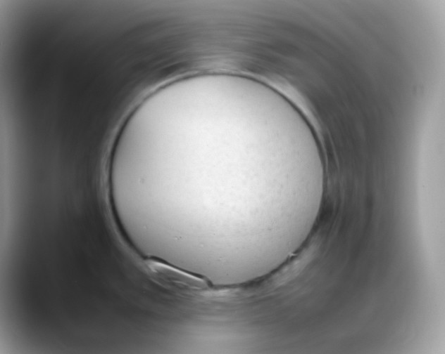 X0000088151389200706111435