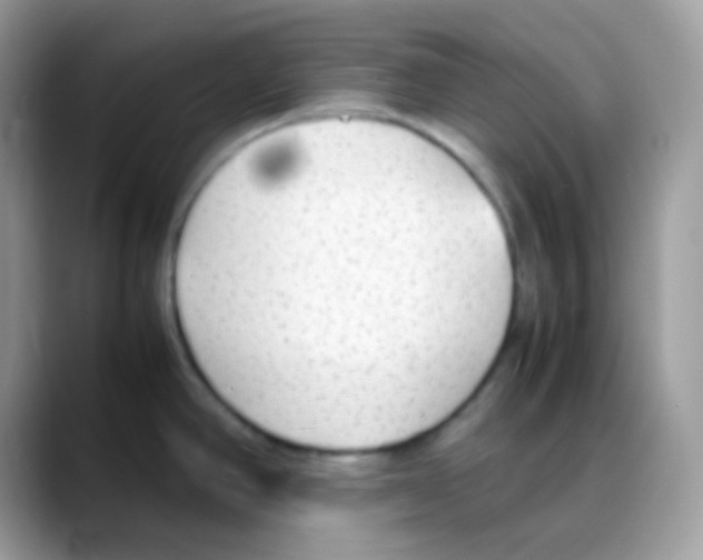 X0000088151390200706111435