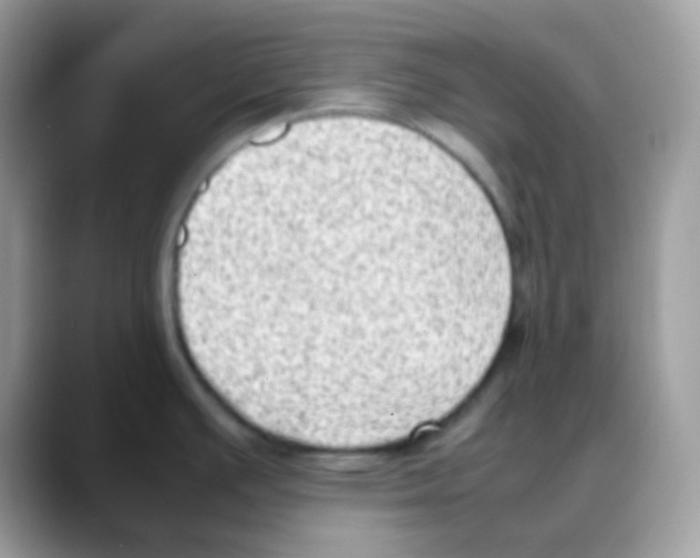 X0000088151391200706111435