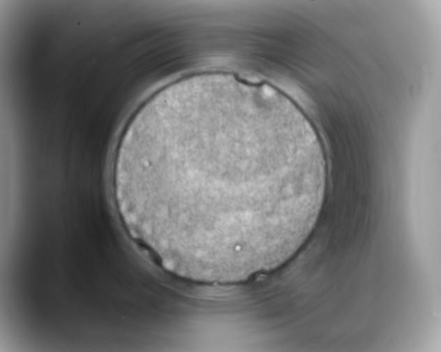 X0000088151392200706111435