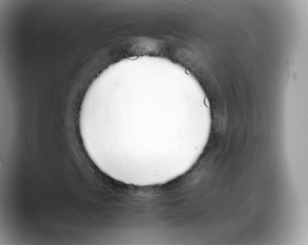 X0000088151393200706111435