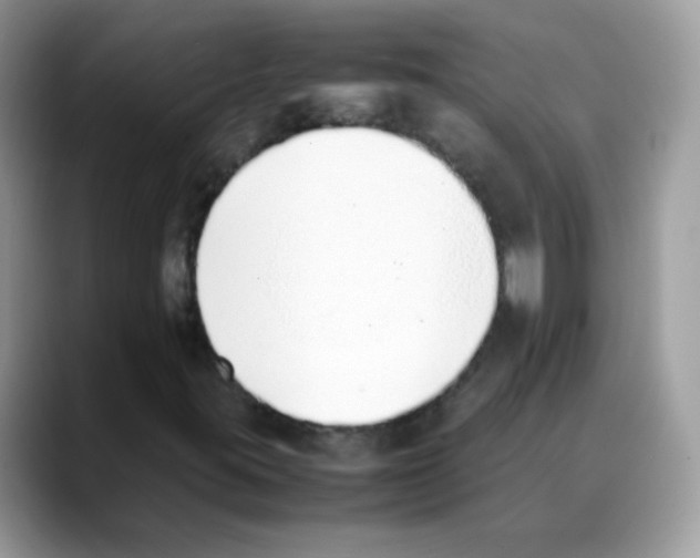 X0000088151395200706111435