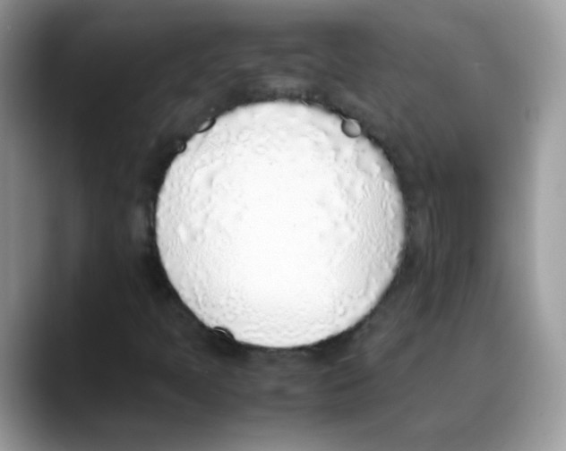 X0000088151397200706111435