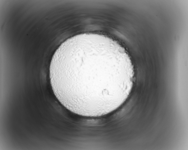 X0000088151401200706111435