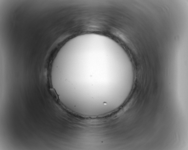 X0000088151402200706111435