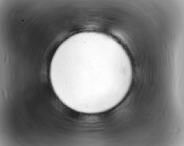 X0000088151403200706111435