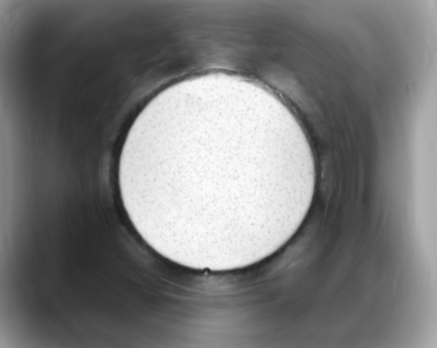 X0000088151404200706111435