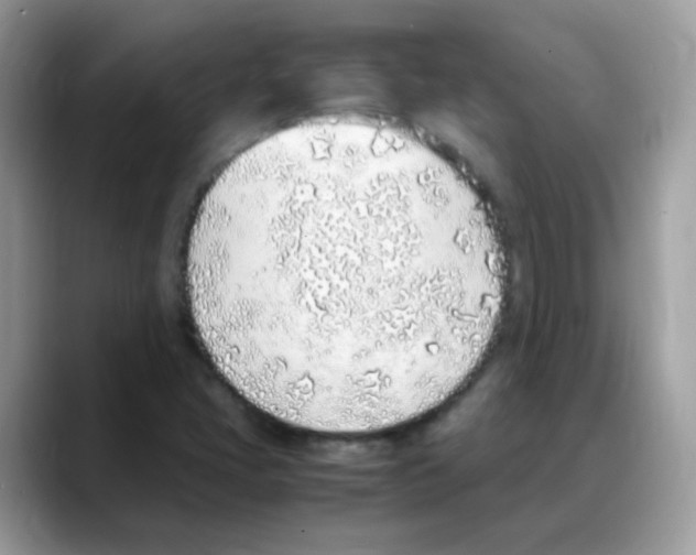 X0000088151405200706111435