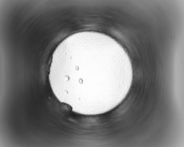 X0000088151411200706111435