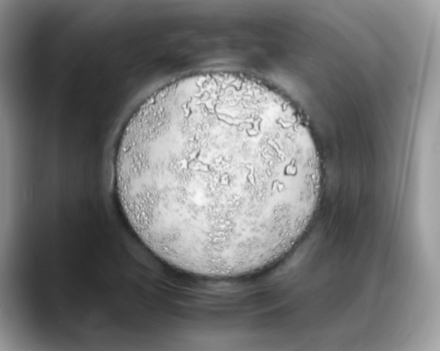 X0000088151413200706111435