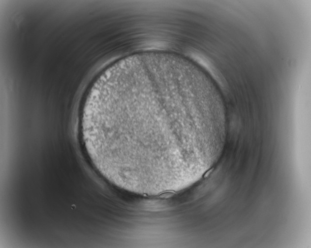 X0000088151418200706111435